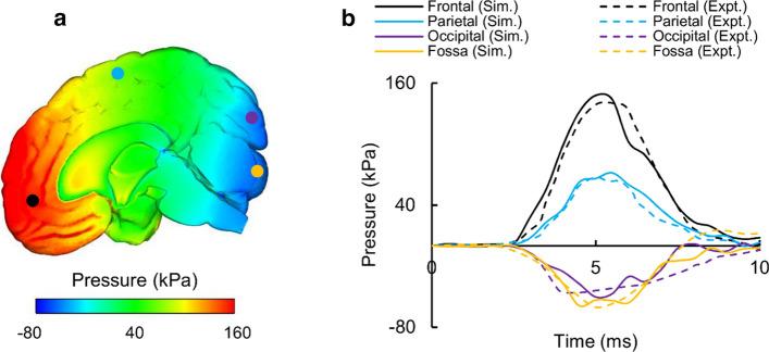 https://cdn.ncbi.nlm.nih.gov/pmc/blobs/e24f/7809851/f2613a2a47c8/12938_2021_847_Fig4_HTML.jpg