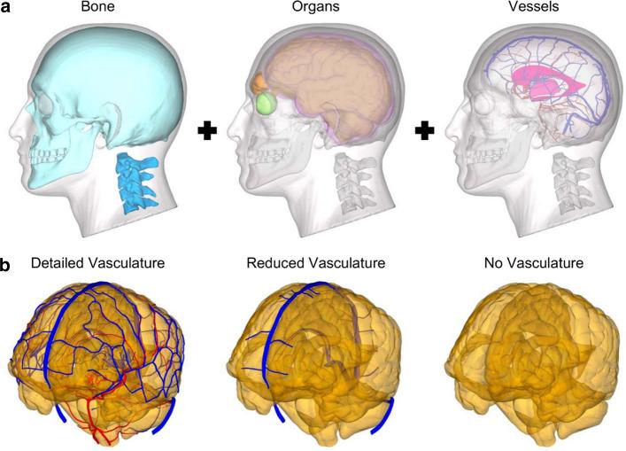 https://cdn.ncbi.nlm.nih.gov/pmc/blobs/e24f/7809851/f3e371b69734/12938_2021_847_Fig1_HTML.jpg