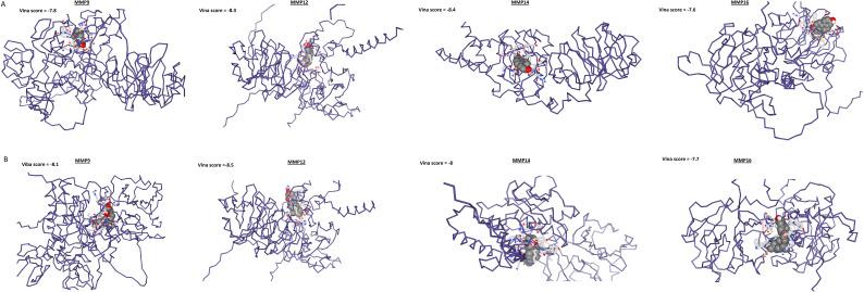 https://cdn.ncbi.nlm.nih.gov/pmc/blobs/e253/11527786/4ee33461adcb/fonc-14-1471267-g011.jpg