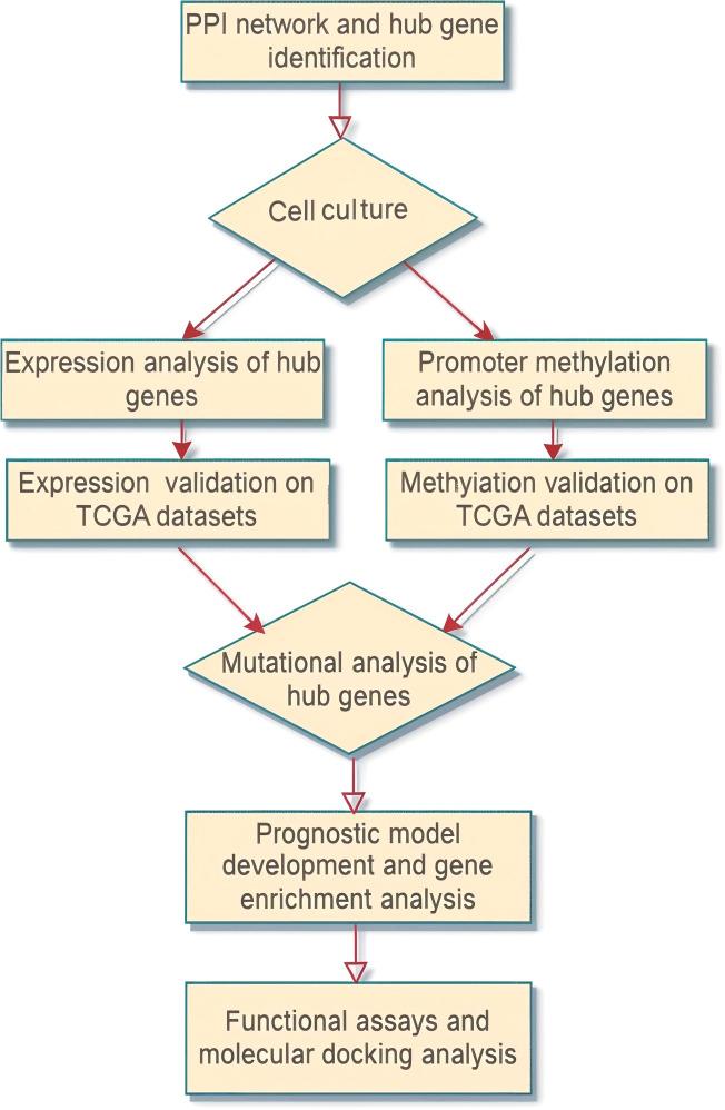 https://cdn.ncbi.nlm.nih.gov/pmc/blobs/e253/11527786/c638ea6d9330/fonc-14-1471267-g001.jpg