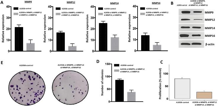 https://cdn.ncbi.nlm.nih.gov/pmc/blobs/e253/11527786/f4d9da58a2c5/fonc-14-1471267-g010.jpg