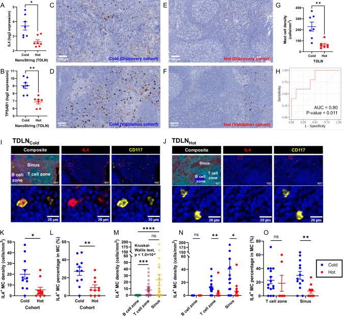 https://cdn.ncbi.nlm.nih.gov/pmc/blobs/e255/11452381/820e17a8a598/41467_2024_52577_Fig4_HTML.jpg