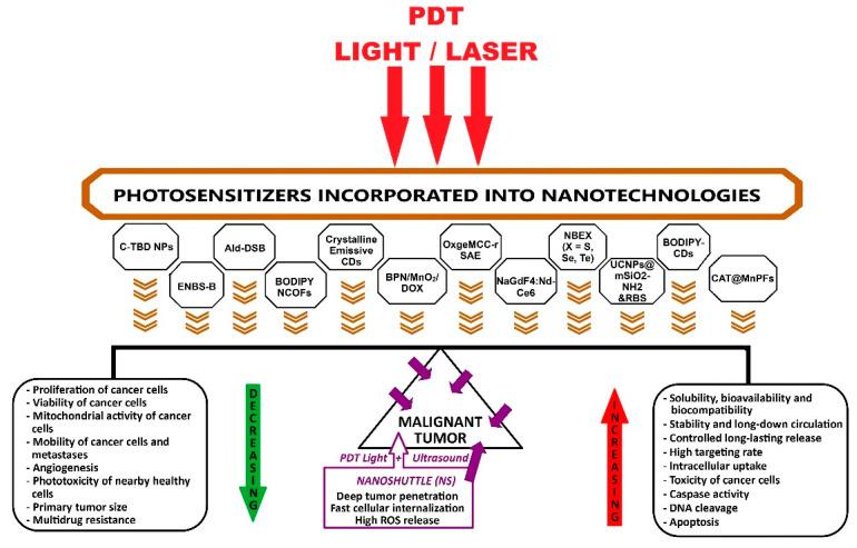 https://cdn.ncbi.nlm.nih.gov/pmc/blobs/e255/11989081/4e7ff92dc1f7/ijms-26-02969-g005.jpg