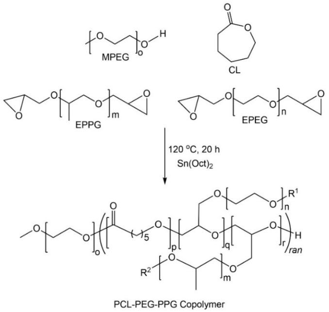 https://cdn.ncbi.nlm.nih.gov/pmc/blobs/e255/7077385/6452da487d20/polymers-12-00367-sch001.jpg