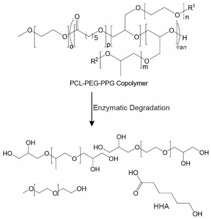 https://cdn.ncbi.nlm.nih.gov/pmc/blobs/e255/7077385/7a84e257f5c6/polymers-12-00367-sch002.jpg