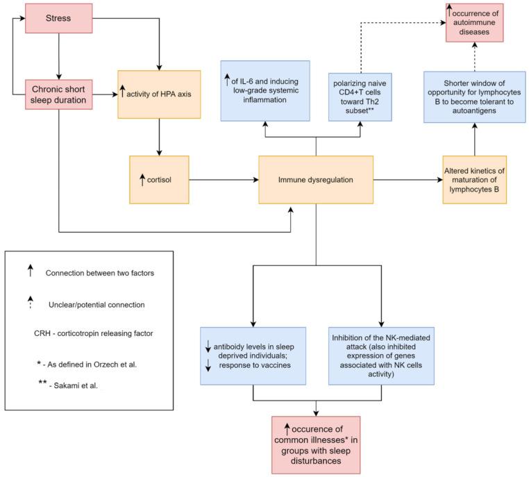 https://cdn.ncbi.nlm.nih.gov/pmc/blobs/e255/9496201/678c92d16acc/biomedicines-10-02159-g001.jpg