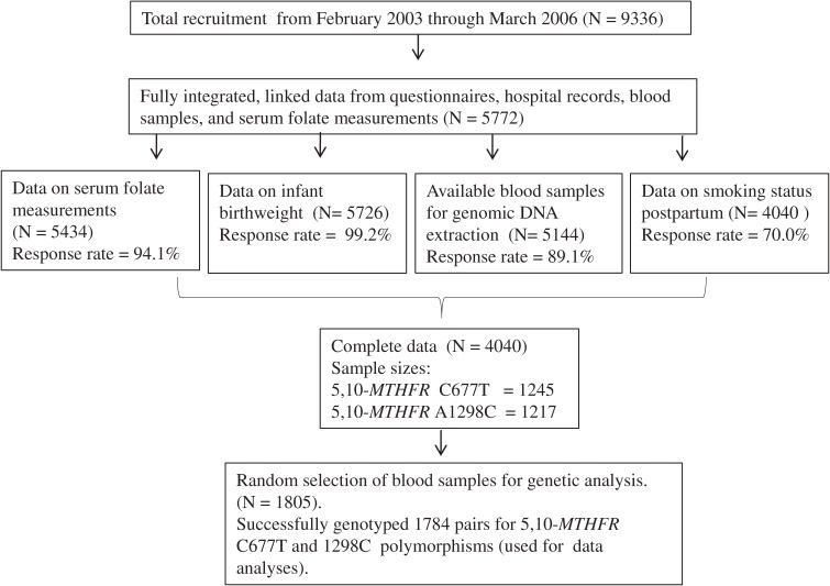 https://cdn.ncbi.nlm.nih.gov/pmc/blobs/e256/3798587/1be62ef3131d/je-22-091-g001.jpg