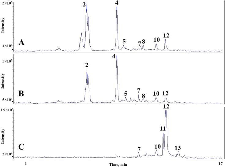 https://cdn.ncbi.nlm.nih.gov/pmc/blobs/e256/6970146/9e583195e5d1/gr11.jpg