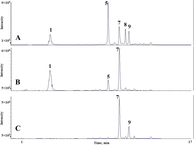 https://cdn.ncbi.nlm.nih.gov/pmc/blobs/e256/6970146/fecdca573feb/gr6.jpg