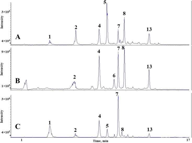 https://cdn.ncbi.nlm.nih.gov/pmc/blobs/e256/6970146/ff107632608d/gr8.jpg