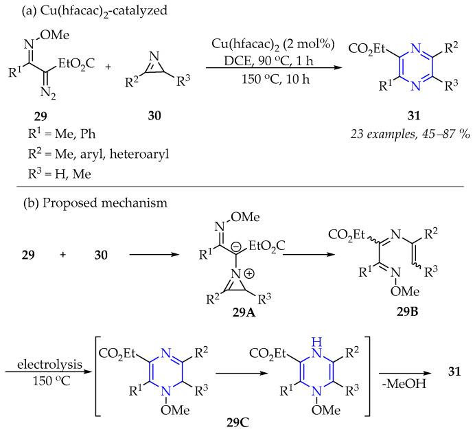https://cdn.ncbi.nlm.nih.gov/pmc/blobs/e258/12348598/660c429f443e/molecules-30-03264-sch012.jpg