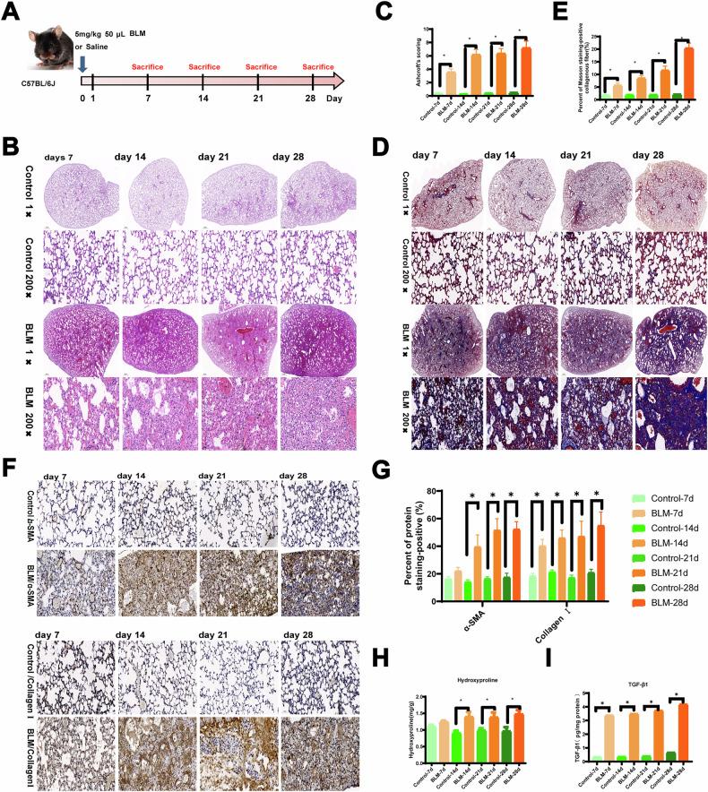 https://cdn.ncbi.nlm.nih.gov/pmc/blobs/e259/11993561/9bd7b108375d/41420_2025_2444_Fig1_HTML.jpg