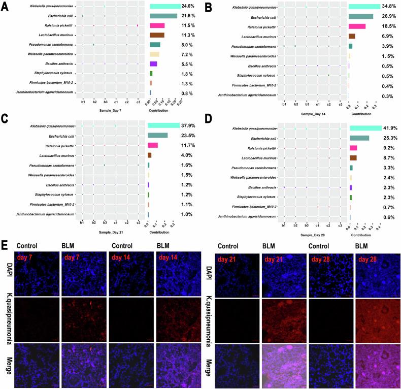 https://cdn.ncbi.nlm.nih.gov/pmc/blobs/e259/11993561/cc2e483504dd/41420_2025_2444_Fig3_HTML.jpg