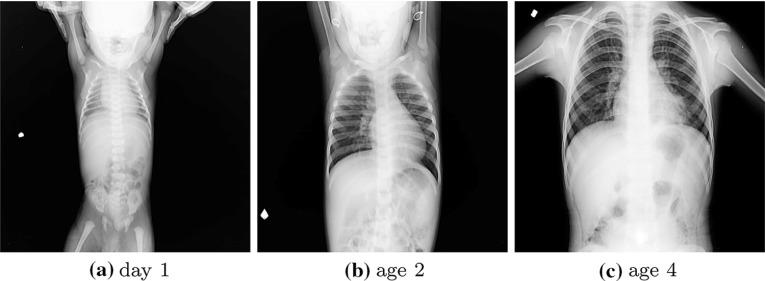 https://cdn.ncbi.nlm.nih.gov/pmc/blobs/e25a/6420899/5f9b47d13437/11548_2019_1917_Fig4_HTML.jpg