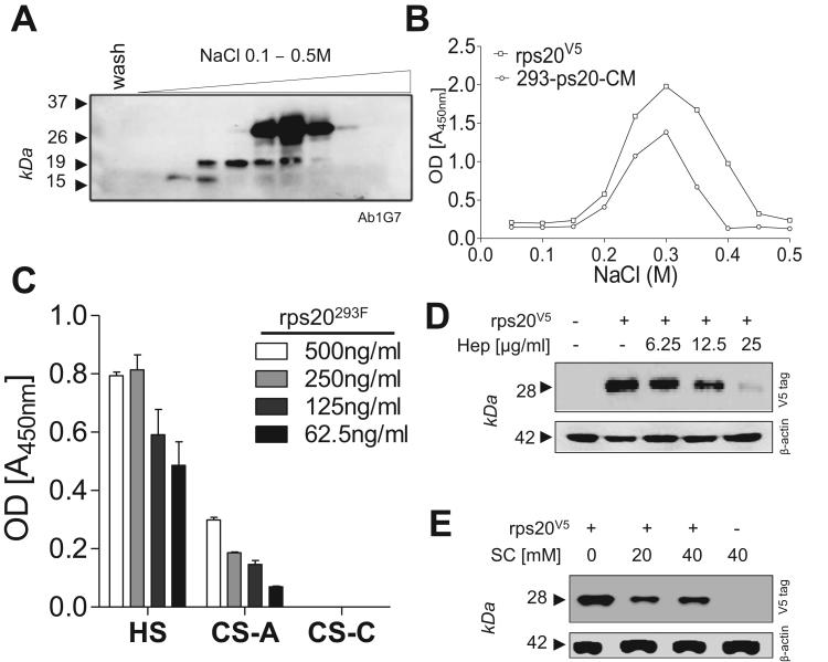 https://cdn.ncbi.nlm.nih.gov/pmc/blobs/e25b/5613349/8ce4560ac11d/gr1.jpg