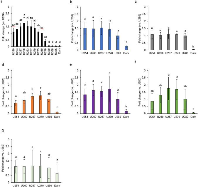 https://cdn.ncbi.nlm.nih.gov/pmc/blobs/e25c/12031847/953cbb107655/203_2025_4324_Fig3_HTML.jpg