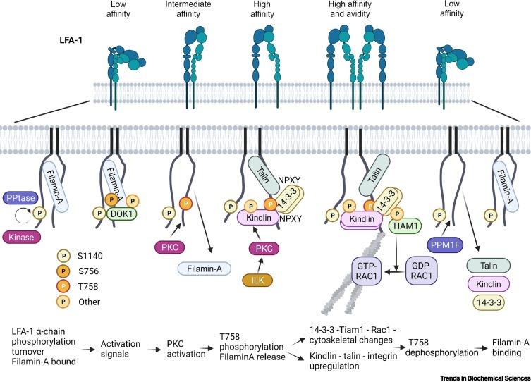 https://cdn.ncbi.nlm.nih.gov/pmc/blobs/e25d/8642147/77a9fb7e239d/gr4_lrg.jpg