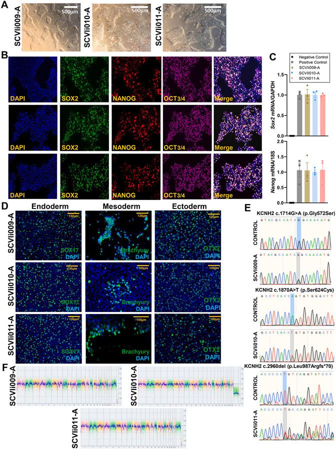 https://cdn.ncbi.nlm.nih.gov/pmc/blobs/e25f/10875632/4443f69d2b93/nihms-1955648-f0001.jpg