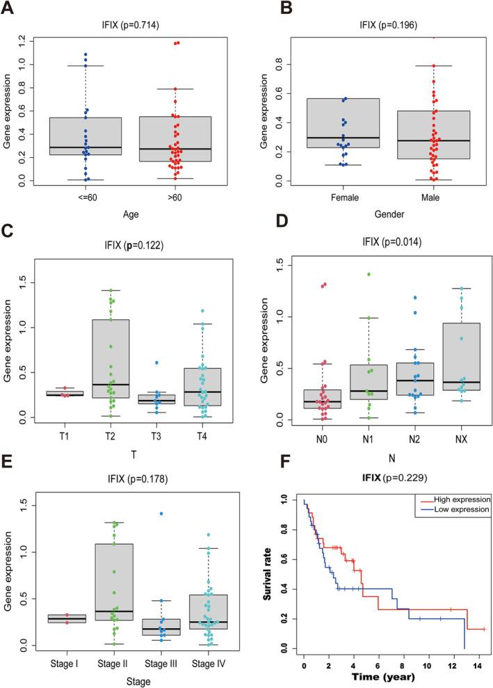 https://cdn.ncbi.nlm.nih.gov/pmc/blobs/e260/11745820/cb9d221a8fc9/JCMM-29-e70342-g001.jpg