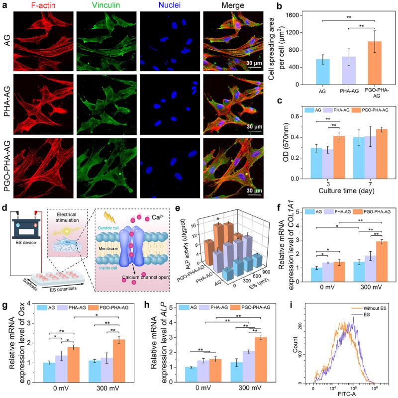https://cdn.ncbi.nlm.nih.gov/pmc/blobs/e261/11166159/b59958418c76/IJN-19-5459-g0002.jpg
