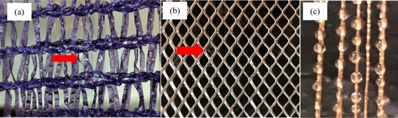 https://cdn.ncbi.nlm.nih.gov/pmc/blobs/e261/11344784/9d13df5659cc/41598_2024_70637_Fig7_HTML.jpg