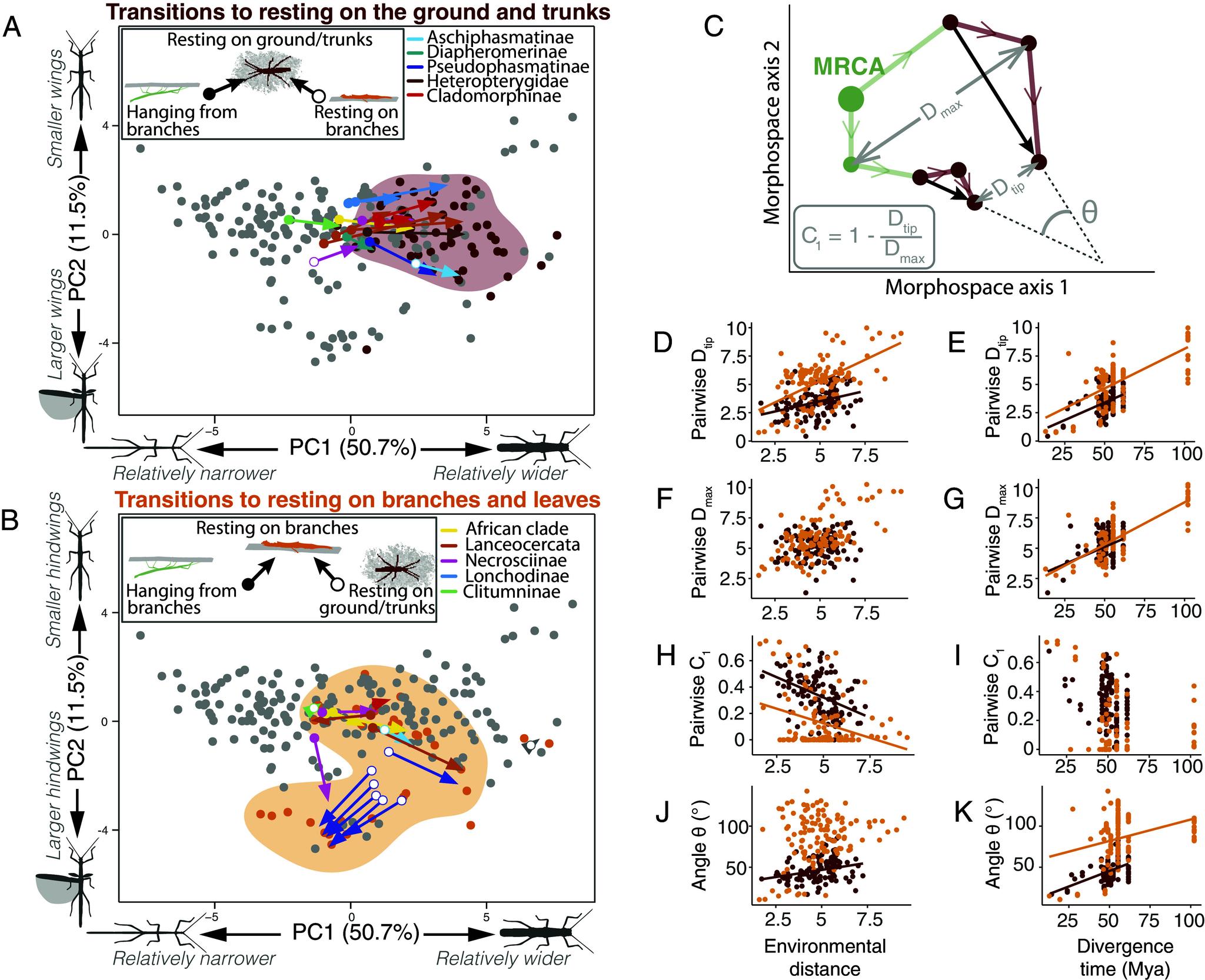 https://cdn.ncbi.nlm.nih.gov/pmc/blobs/e261/11725862/89d0efb340ed/pnas.2319485121fig06.jpg