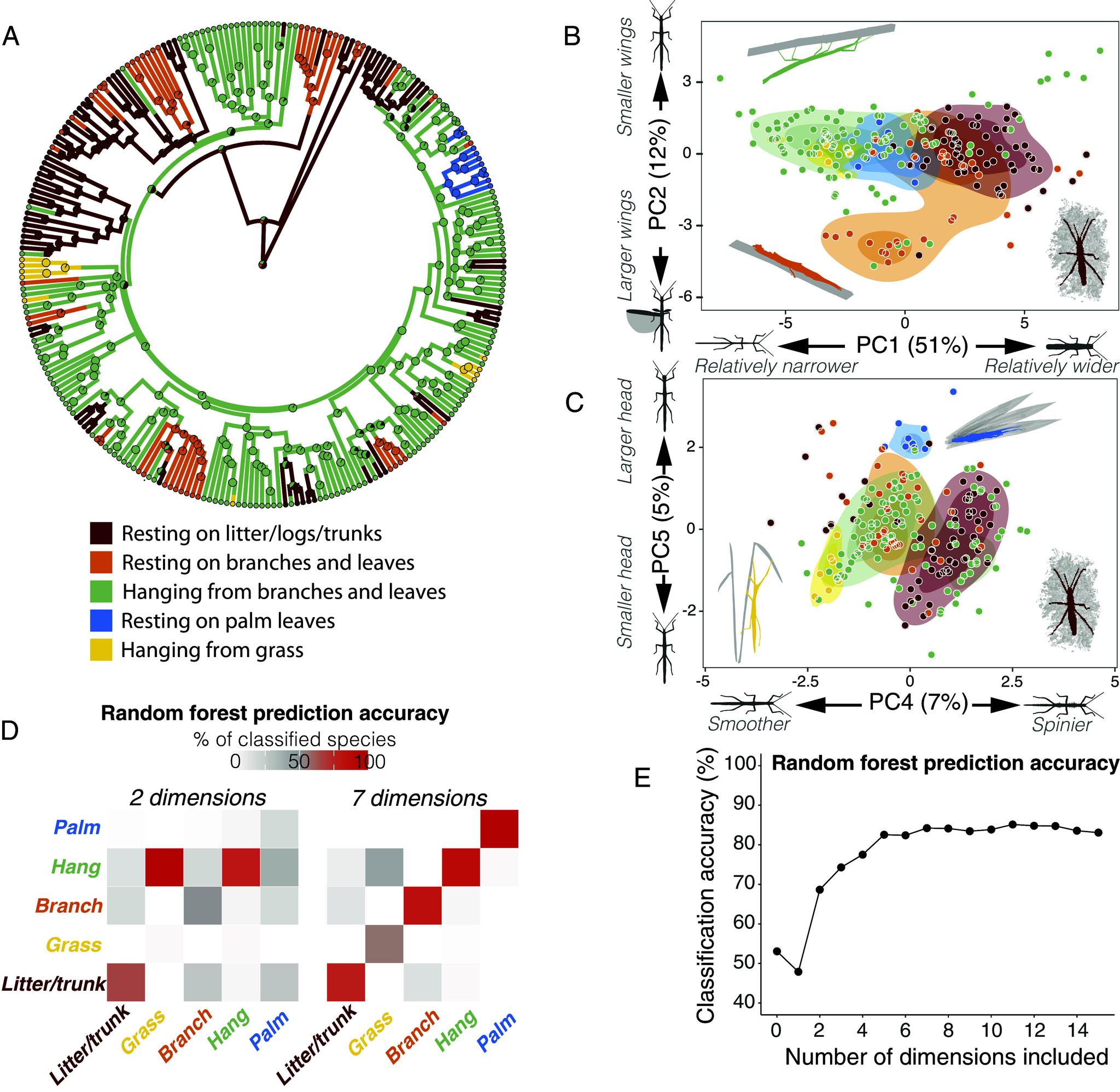 https://cdn.ncbi.nlm.nih.gov/pmc/blobs/e261/11725862/e6bc503b028d/pnas.2319485121fig05.jpg