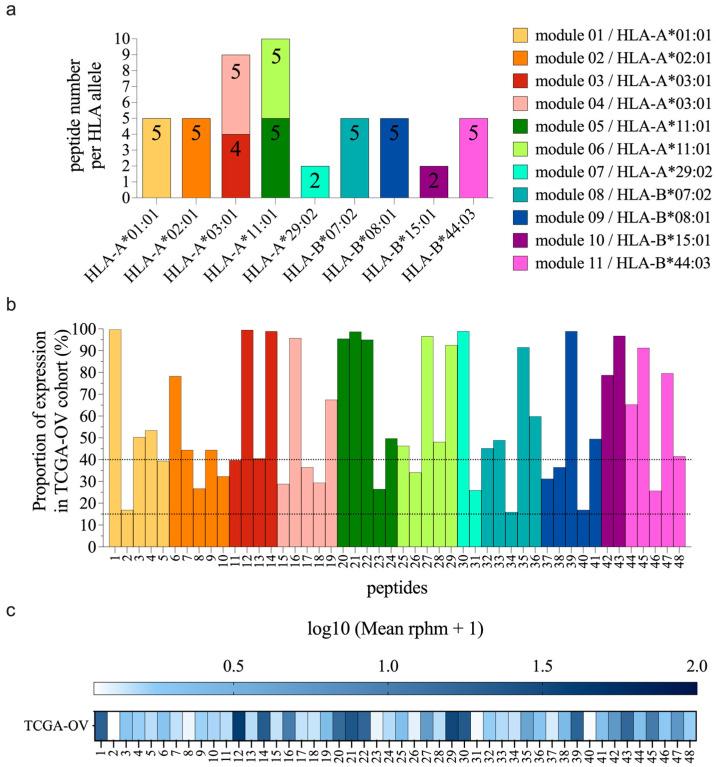 https://cdn.ncbi.nlm.nih.gov/pmc/blobs/e263/11203340/b4d1c2702e39/curroncol-31-00236-g001.jpg