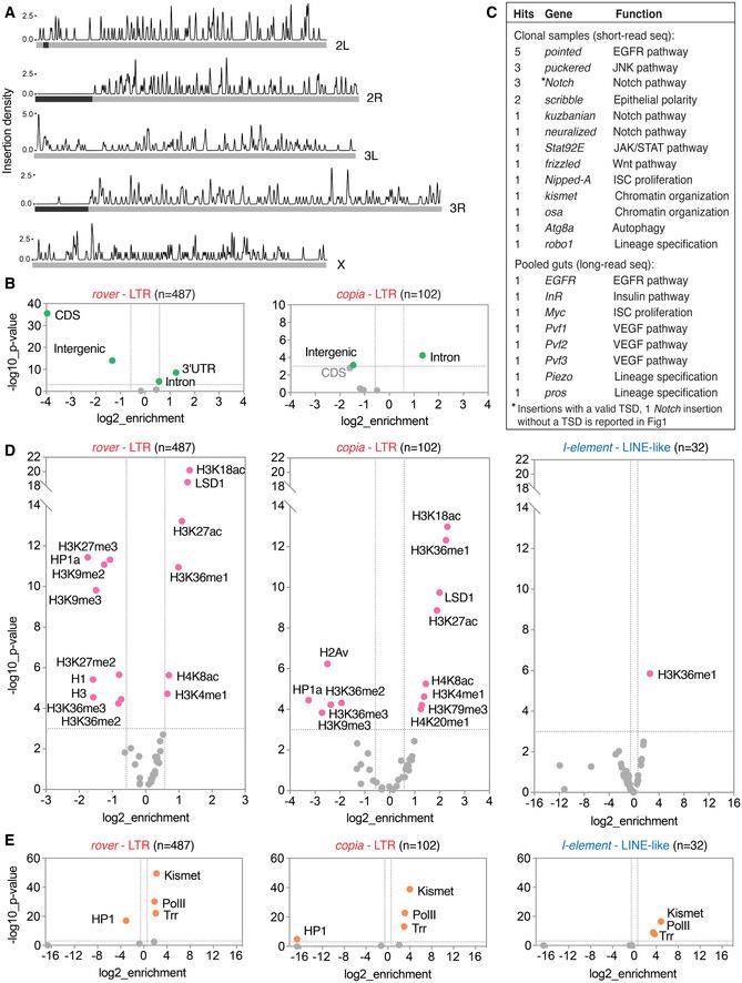 https://cdn.ncbi.nlm.nih.gov/pmc/blobs/e263/8090852/ff9dd52e82b4/EMBJ-40-e106388-g009.jpg