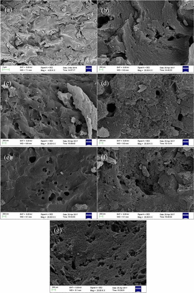 https://cdn.ncbi.nlm.nih.gov/pmc/blobs/e263/9203837/7576127e38f2/41598_2022_14214_Fig6_HTML.jpg