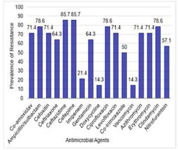 https://cdn.ncbi.nlm.nih.gov/pmc/blobs/e264/7750051/94d79a929eb2/AFHS2001-0190Fig2.jpg