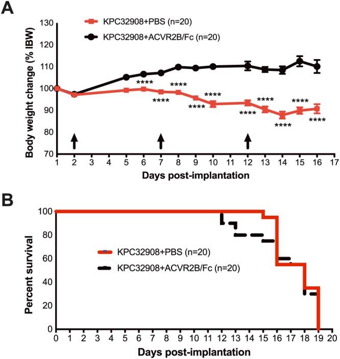 https://cdn.ncbi.nlm.nih.gov/pmc/blobs/e265/6818463/1d3f96469255/JCSM-10-1083-g006.jpg