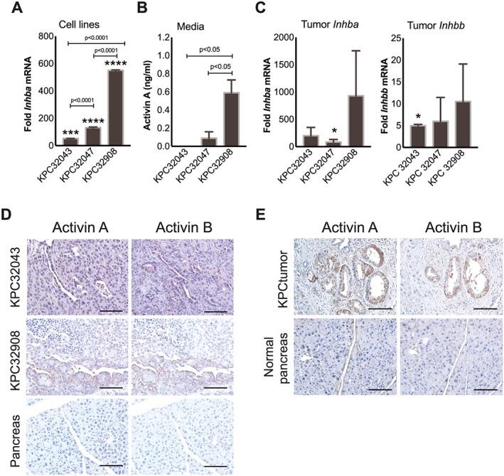 https://cdn.ncbi.nlm.nih.gov/pmc/blobs/e265/6818463/83ac0e8d496e/JCSM-10-1083-g001.jpg