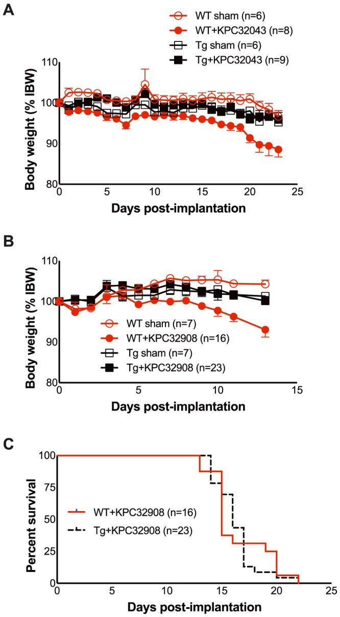 https://cdn.ncbi.nlm.nih.gov/pmc/blobs/e265/6818463/dbdaf547ea08/JCSM-10-1083-g007.jpg