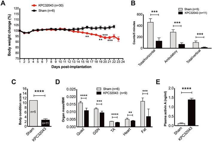 https://cdn.ncbi.nlm.nih.gov/pmc/blobs/e265/6818463/e2edfa03cfb0/JCSM-10-1083-g002.jpg