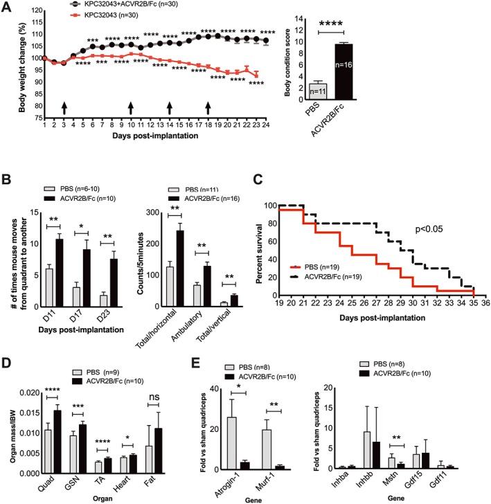 https://cdn.ncbi.nlm.nih.gov/pmc/blobs/e265/6818463/f6df6aa2a45b/JCSM-10-1083-g005.jpg