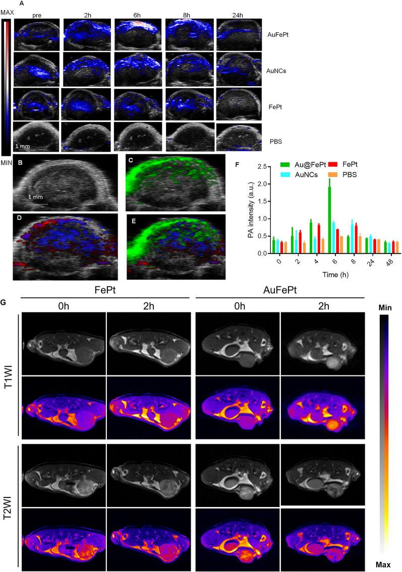 https://cdn.ncbi.nlm.nih.gov/pmc/blobs/e266/10169499/021c6675b2f7/12951_2023_1910_Fig6_HTML.jpg