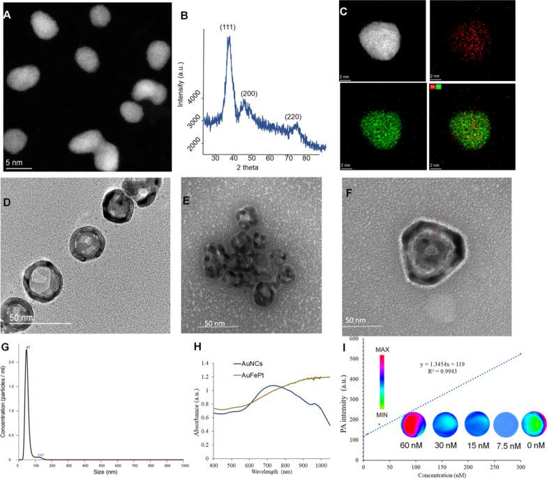 https://cdn.ncbi.nlm.nih.gov/pmc/blobs/e266/10169499/b18cdf859af5/12951_2023_1910_Fig1_HTML.jpg