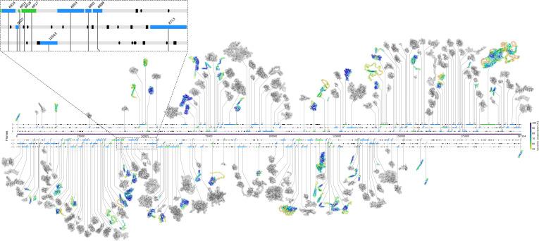 https://cdn.ncbi.nlm.nih.gov/pmc/blobs/e267/10714838/8c28875cd7ac/spectrum.02315-23.f002.jpg