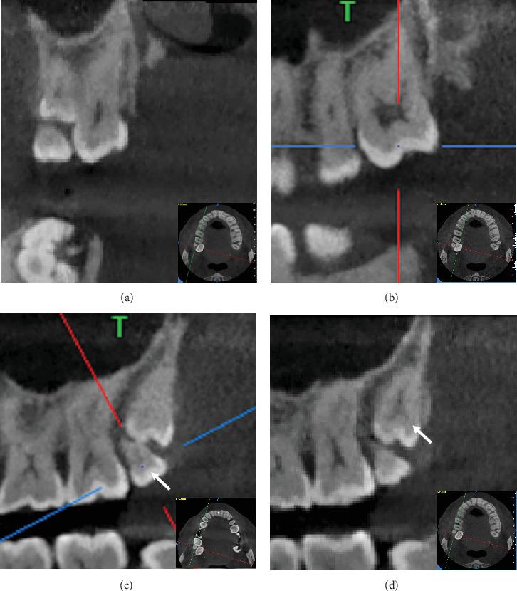 https://cdn.ncbi.nlm.nih.gov/pmc/blobs/e268/12253987/89e17fd6bdb6/CRID2025-3575942.003.jpg