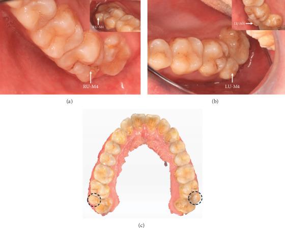 https://cdn.ncbi.nlm.nih.gov/pmc/blobs/e268/12253987/e2a0026e798c/CRID2025-3575942.001.jpg