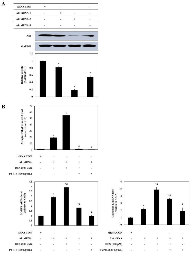 https://cdn.ncbi.nlm.nih.gov/pmc/blobs/e269/6563069/3b8da942a7d1/marinedrugs-17-00284-g009a.jpg