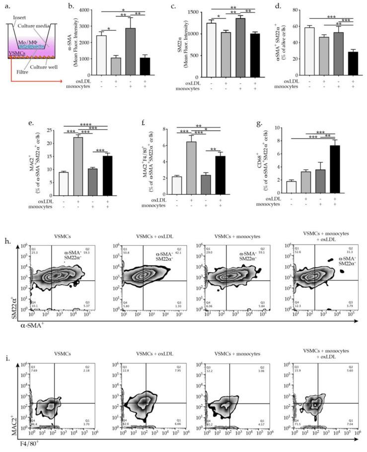 https://cdn.ncbi.nlm.nih.gov/pmc/blobs/e269/8745068/3d61c57d9a19/ijms-23-00340-g001.jpg