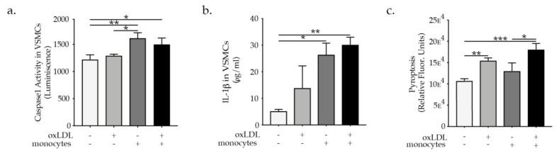 https://cdn.ncbi.nlm.nih.gov/pmc/blobs/e269/8745068/55cde8bb6bd5/ijms-23-00340-g003.jpg