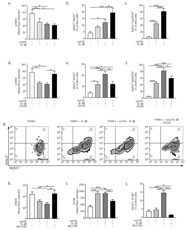 https://cdn.ncbi.nlm.nih.gov/pmc/blobs/e269/8745068/5d874af10e6f/ijms-23-00340-g005.jpg