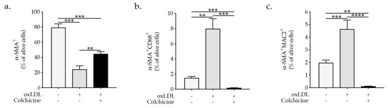 https://cdn.ncbi.nlm.nih.gov/pmc/blobs/e269/8745068/92d49fb4ec26/ijms-23-00340-g006.jpg