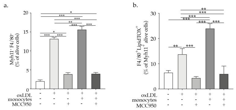 https://cdn.ncbi.nlm.nih.gov/pmc/blobs/e269/8745068/ef3e0043d238/ijms-23-00340-g004.jpg