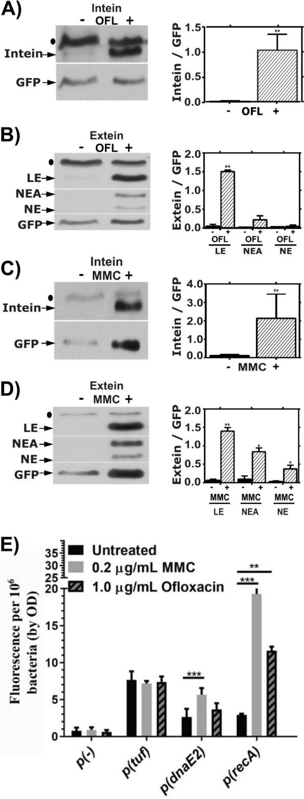https://cdn.ncbi.nlm.nih.gov/pmc/blobs/e26a/11377839/3c9aea6d5568/41598_2024_71248_Fig2_HTML.jpg