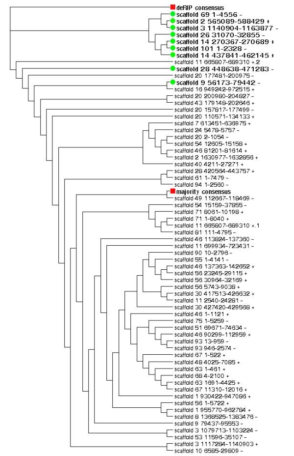 https://cdn.ncbi.nlm.nih.gov/pmc/blobs/e26a/3017866/10ccc128fcb8/1471-2164-11-655-4.jpg