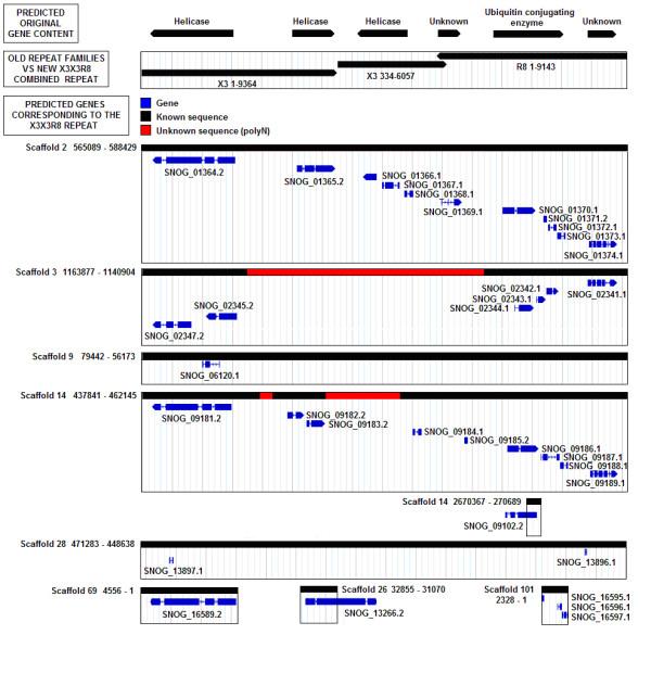 https://cdn.ncbi.nlm.nih.gov/pmc/blobs/e26a/3017866/47ac74845859/1471-2164-11-655-3.jpg